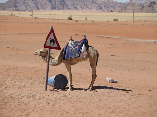 rejsetips til din næste rejse